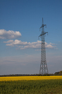 Oilseed Rape, Agricultural Operation thumbnail