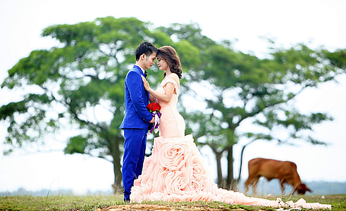couple standing near cow and tree thumbnail