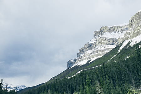 snowy mountain with pine trees during daytime thumbnail