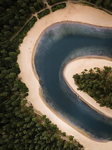 bird's eye view of river near trees thumbnail