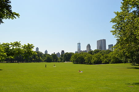 green grass field under blue sky thumbnail