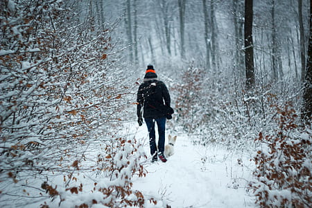 person walking forest during winter thumbnail
