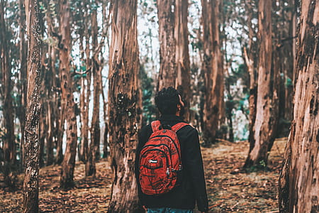 man carrying backpack standing at the woods thumbnail
