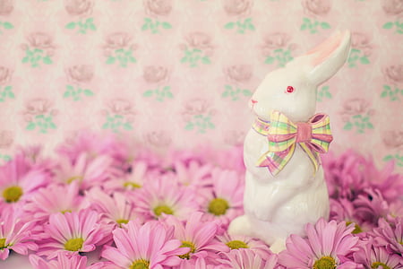 selective focus photography of white rabbit on pink petaled flower field thumbnail
