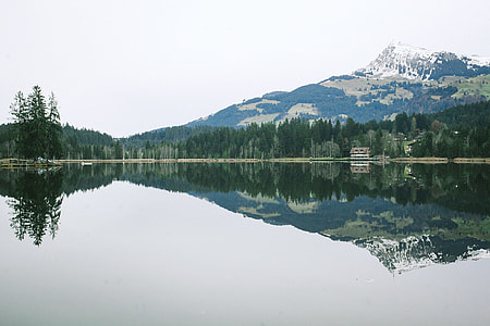 reflection of trees on body of water during daytime thumbnail