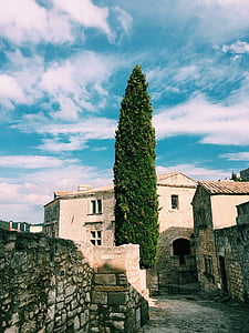 gray concrete house behind green tree thumbnail