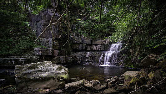 wood, landscape, nature, water thumbnail