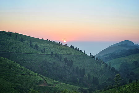 landscape photography of mountains covered with green leafed trees during daytime thumbnail