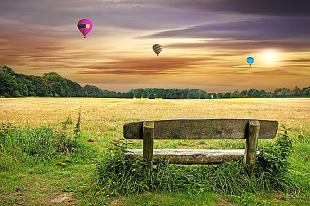 three hot air balloons under yellow grass field during golden hour thumbnail