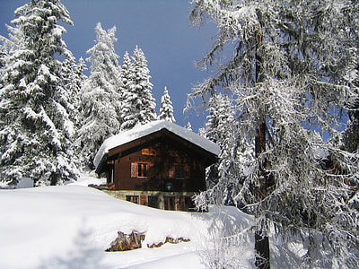 house coated with snow thumbnail