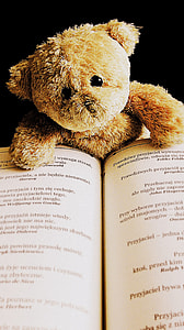 brown bear plush toy on book page thumbnail