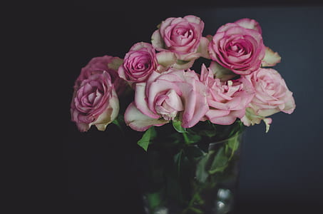 pink-and-white rose flowers on clear glass vase thumbnail