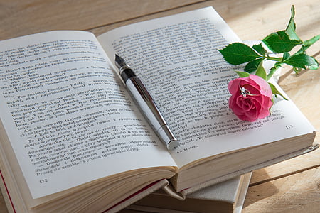 pink rose on book beside fountain pen thumbnail
