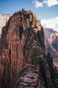 person standing near tree on rock ridge at daytime thumbnail