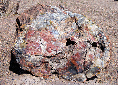 Petrified Forest National Park thumbnail