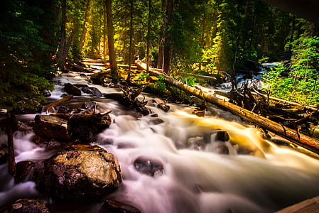 timelapse photography of river in the middle of forest thumbnail