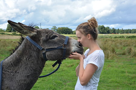 woman kissing donkey on nose in field during daytime thumbnail