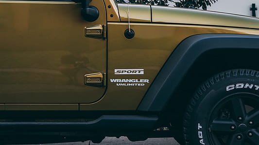 Close-up Photo of Brown Wrangler thumbnail