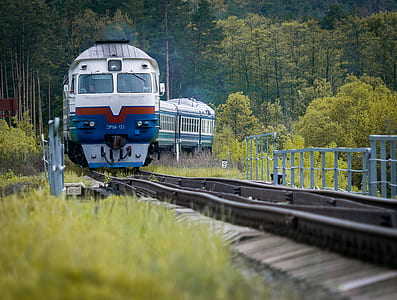 white and blue train on rail surrounded by green trees thumbnail