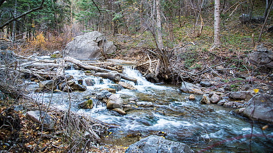 river bank surrounded by trees thumbnail