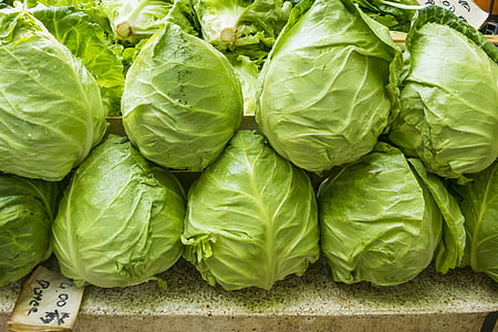 green cabbage lot thumbnail