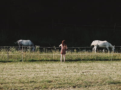 Woman Standing Near Two White Horses on Green Grass Field thumbnail