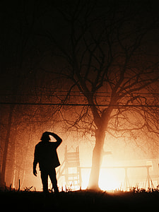 silhouette of standing man near baretree thumbnail