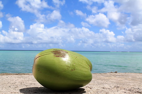low angle of coconut fruit near body of water thumbnail