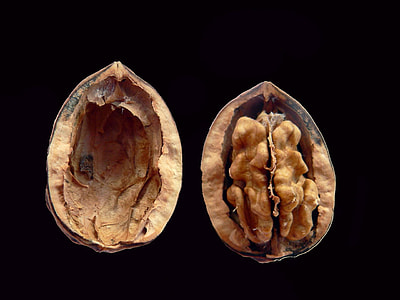 walnut surrounded by dark thumbnail