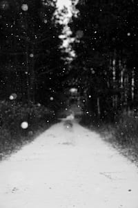 grayscale photo of pathway with snow thumbnail