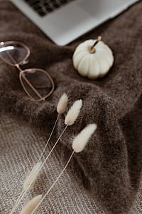 Laptop, glasses & small white pumpkin thumbnail