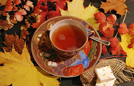cup of tea thumbnail