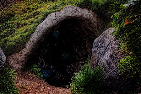 animals inside cave thumbnail