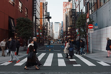 people walking on pedestrian lane thumbnail