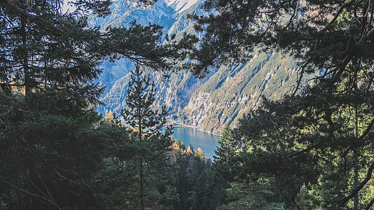 green leafed trees near body of water and mountaines thumbnail