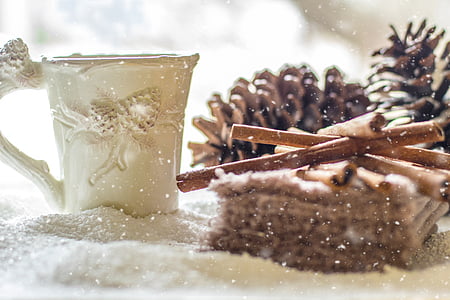 brown pinecones in shallow photography thumbnail