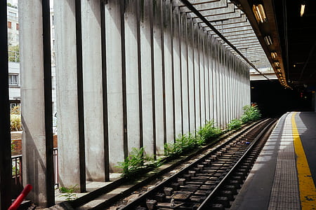 landscape photography of train railway thumbnail