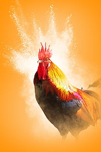 red and yellow rooster wallpaper thumbnail