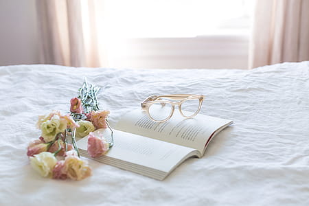 Reading Still Life Photo thumbnail