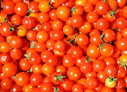 ripe tomatoes thumbnail