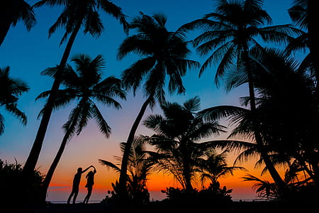 Silhouette Photography of Man and Woman Beside Trees during Sunset thumbnail