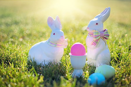 two white rabbit ceramic figurines on green grass field during daytime thumbnail