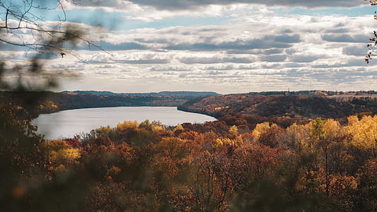 dried tree near body of water during daytime thumbnail