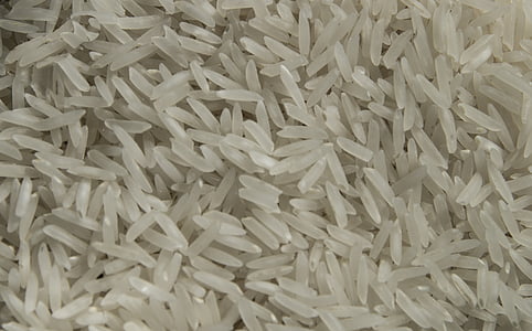 white rice grains thumbnail