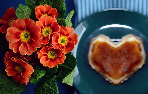 close up photography of orange flowers thumbnail