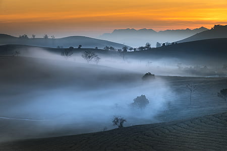 mountains and trees during golden hour thumbnail