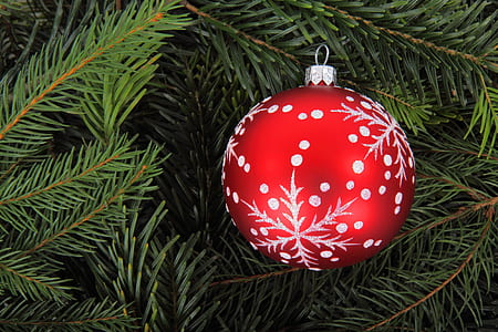 red and grey snowflake printed ornament on Christmas tree thumbnail