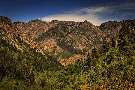 Brown Rocky Mountain Photo thumbnail