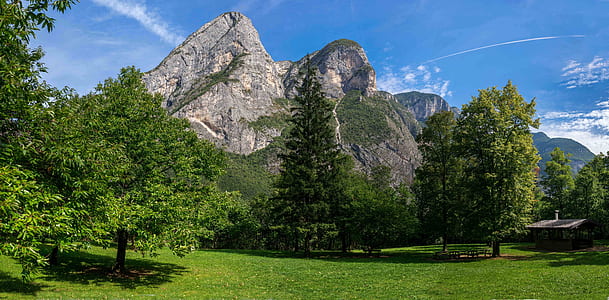 green trees near gray mountain thumbnail