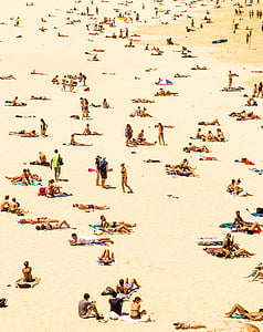 group of people on beach thumbnail